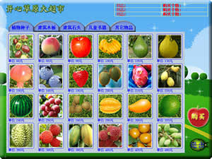 长风少儿加减法_超市